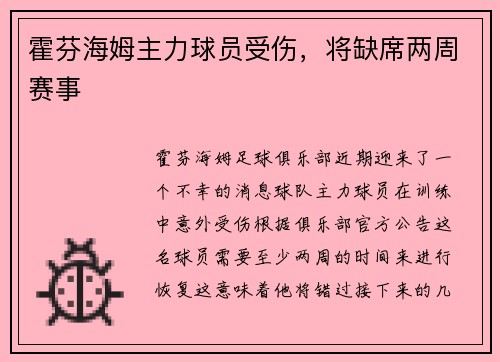 霍芬海姆主力球员受伤，将缺席两周赛事